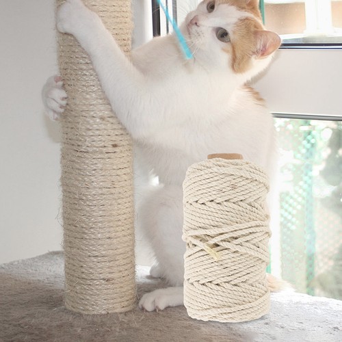 Accessoire pour chat - accessoire,