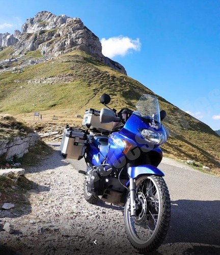 Honda 650 transalp - honda, v
