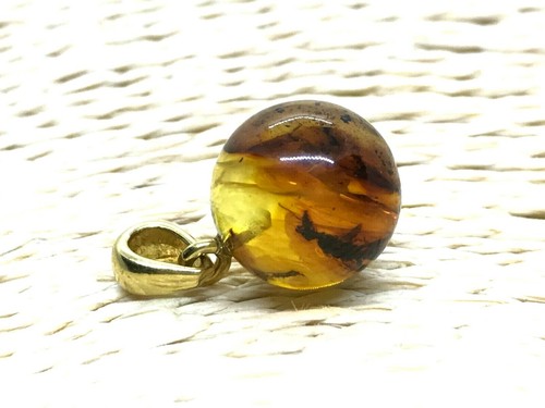 Pendentif ambre insecte - ambre, cadeau