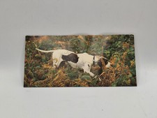 Nestlé MERVEILLES DU MONDE