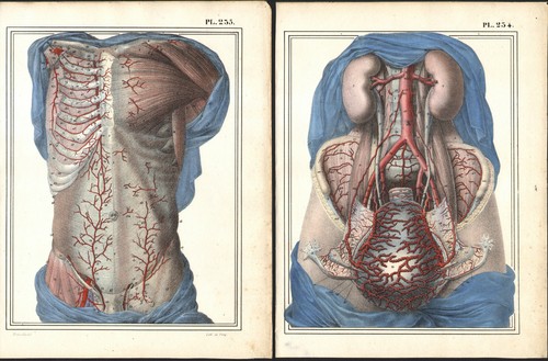 1825 deux gravures originales - gravures,
