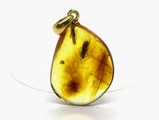 PENDENTIF AMBRE 2 Insectes