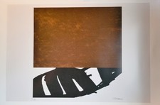 Superbe Affiche Pierre