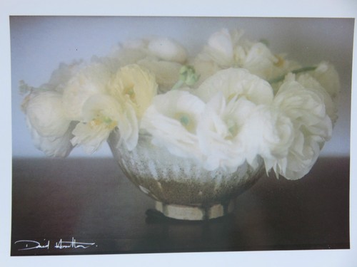 Carte postale david - carte,