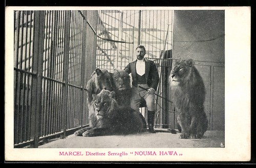 Cirque marcel dompteur - cirque,