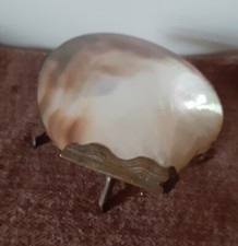 VIDE POCHE BAGUIER  Coquillage