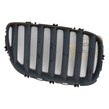 GRILLE CAPOT DROITE 51137124816 BMW X5 I Diesel