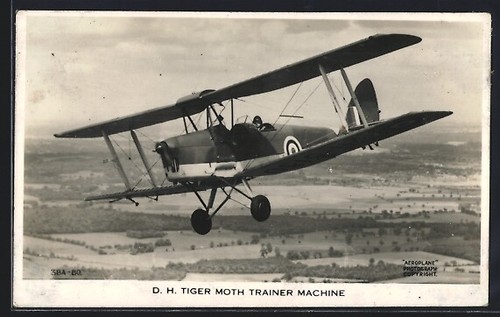 Tiger moth - h.,