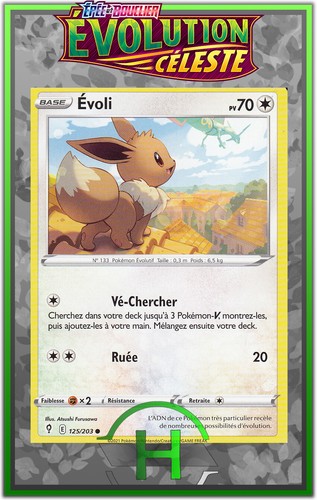 évoli eb07 évolution - Évoli, eb07:Évolution