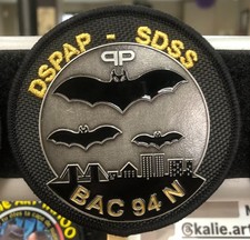 écusson police nationale iron