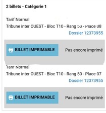 2 places de concert red hot chili peppers au stade de France le 08/07 categorie1