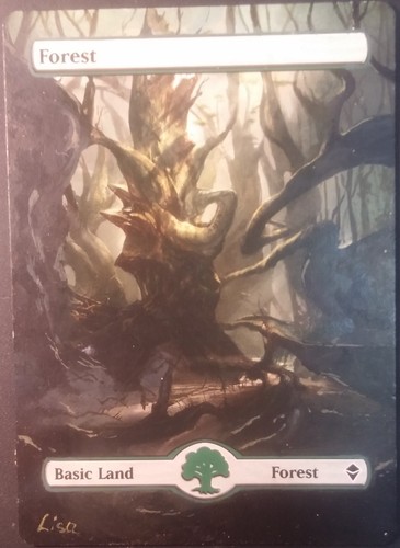 Forêt zendikar altéré - forêt,