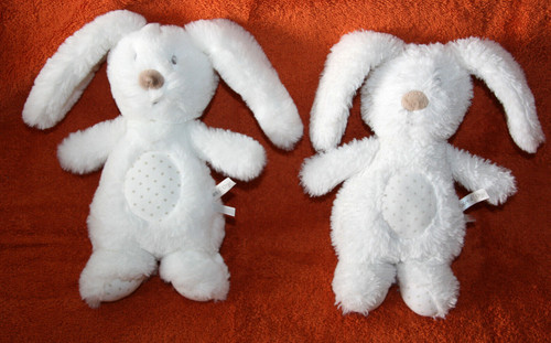 Sucre orge doudou - d'orge, peluche