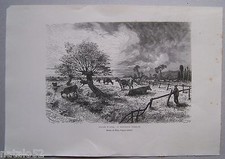 § H172- gravure sur bois VALLEE D'AUGE PATURAGE NORMAND - 1885