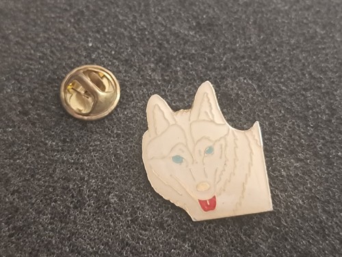 Pin chien loup canidé blanc - loup,