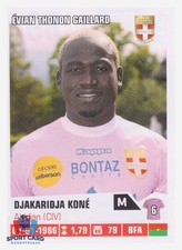 Panini Foot 2014 - Djakaridja