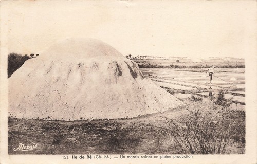 Ile un marais - 17-ile,
