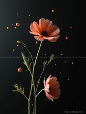 Photo A4 Floral Kawaii Moderne
