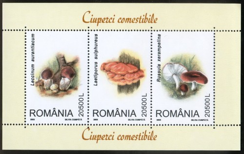 Romania 2003