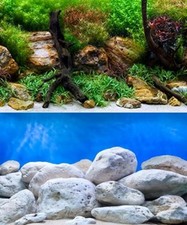 poster fond aquarium