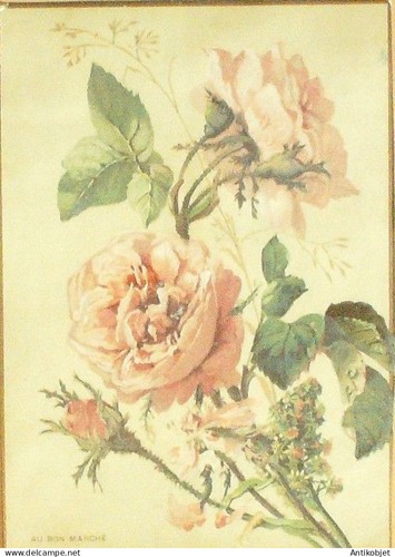 Chromo bon marche - bon,