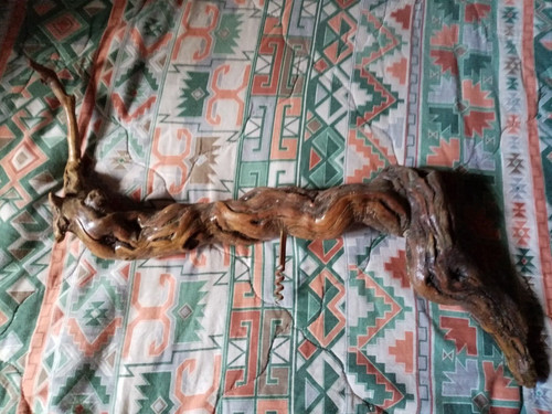 Tir bouchon cep - bouchon, de