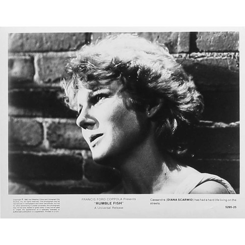 Rusty james photo - james,