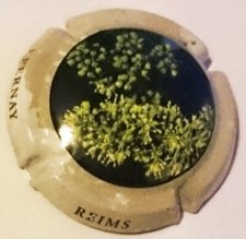 Capsule de champagne Epernay