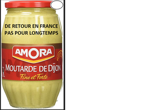 Moutarde amora fine forte - fine,