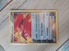 Carte Pokémon : Groudon de