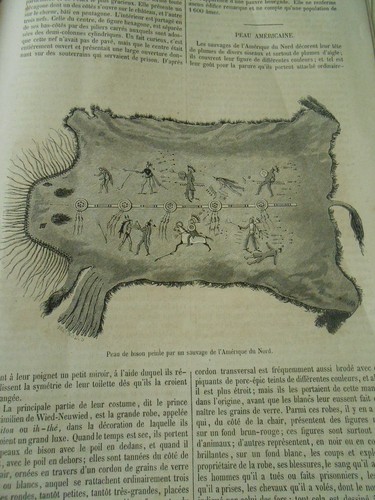 Peau bison américaine 1855 - peau, de