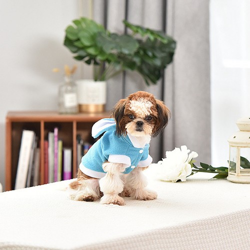 Vêtement chien manteau chiot - chien,
