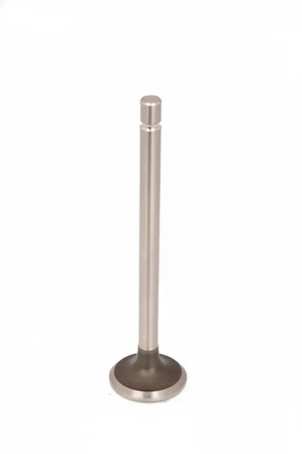 Soupape échappement 5sz001 - soupape, d'échappement