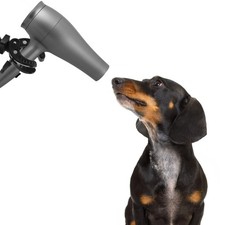  Support De Toilettage Pour