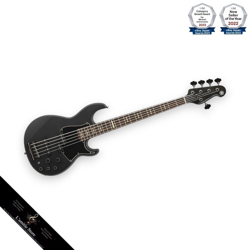 Guitare basse électrique