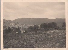 Corse, Porto-Vecchio, Vignes