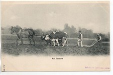 SUISSE - SWITZERLAND - SCHWEIZ - Agriculture aux labours attelage mixte boeufs