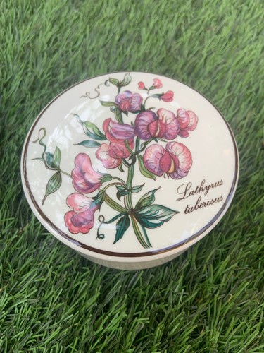 Boîte vitro porcelaine - en,