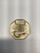 Golden Scorpion in Resin Dome