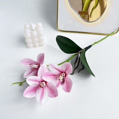 Cymbidium orchidée 39cm film - cymbidium,