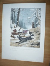 LOUPS DE SIBÉRIE ATTAQUE DE TRAÎNEAUX  LITHOGRAPHIE ORIGINALE 1860 PAR E. DURUY
