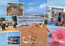 85 LA ROCHE SUR YON AQUARIUM DU CAMPING OCEAN