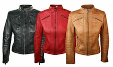 Blouson de moto motard