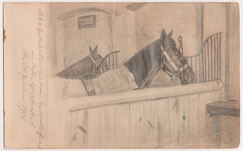 Fritz von gontard stalle pour - fritz,
