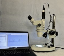 Olympus Stereo Zoom Microscope