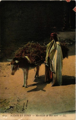 Cpa algeria 6033 scenes - algeria,