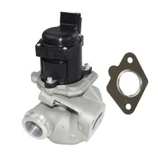 Vanne EGR avec joint 161859