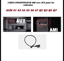 Câble-Convertisseur prise AMI