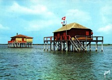 CPSM GF 33 - Bassin d'ARCACHON (Gironde) - Ile aux Oiseaux - Maisons sur Pilotis