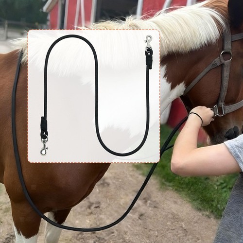 Longe pour chevaux